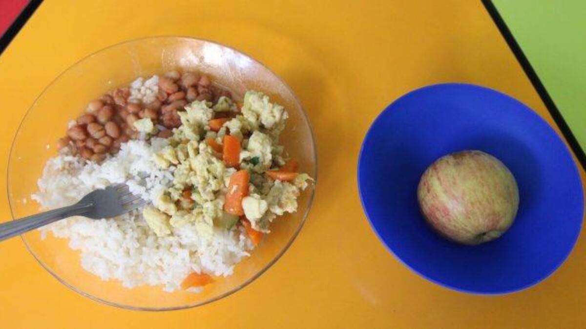 Programa de merenda escolar sob auditoria por falhas de fiscalização