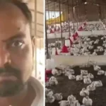 Sabir Ali, fazendeiro que denunciou morte de 140 galinhas após som alto de casamento